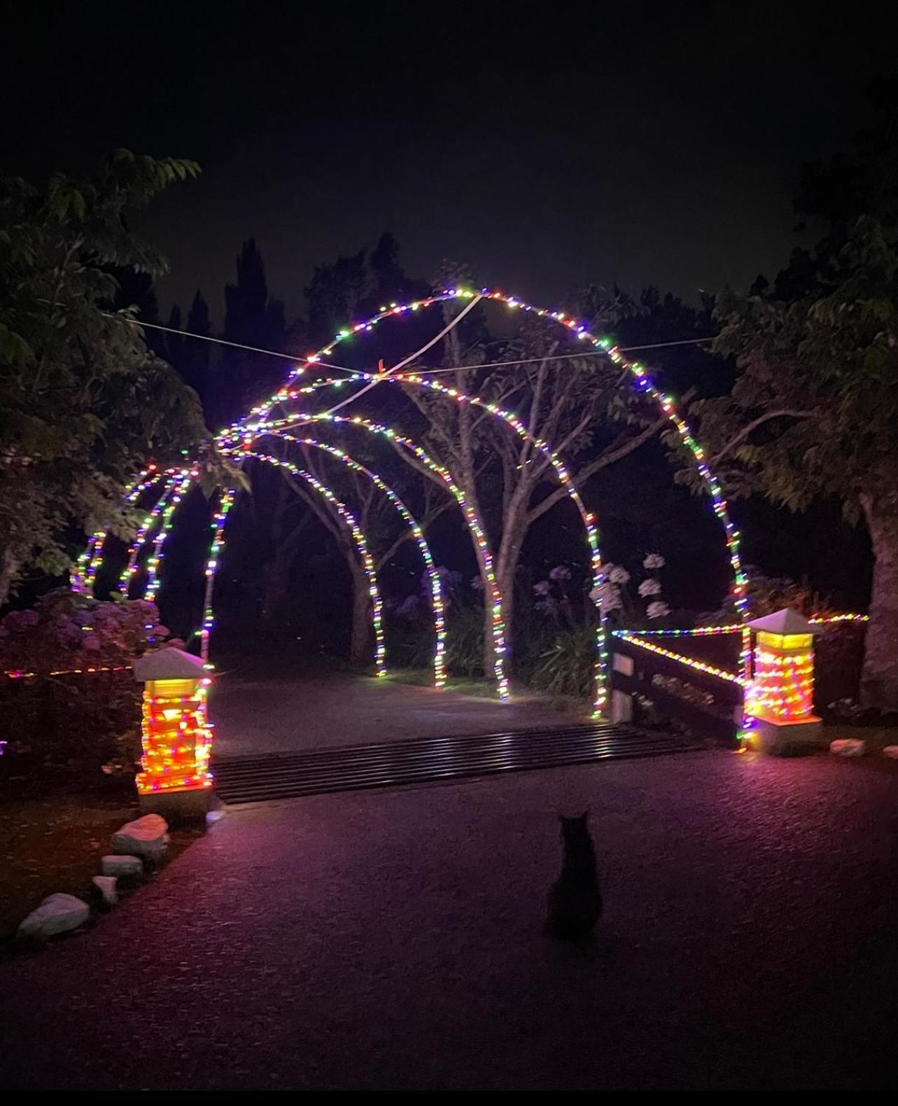特库伊特Mels Retreat公寓 外观 照片
