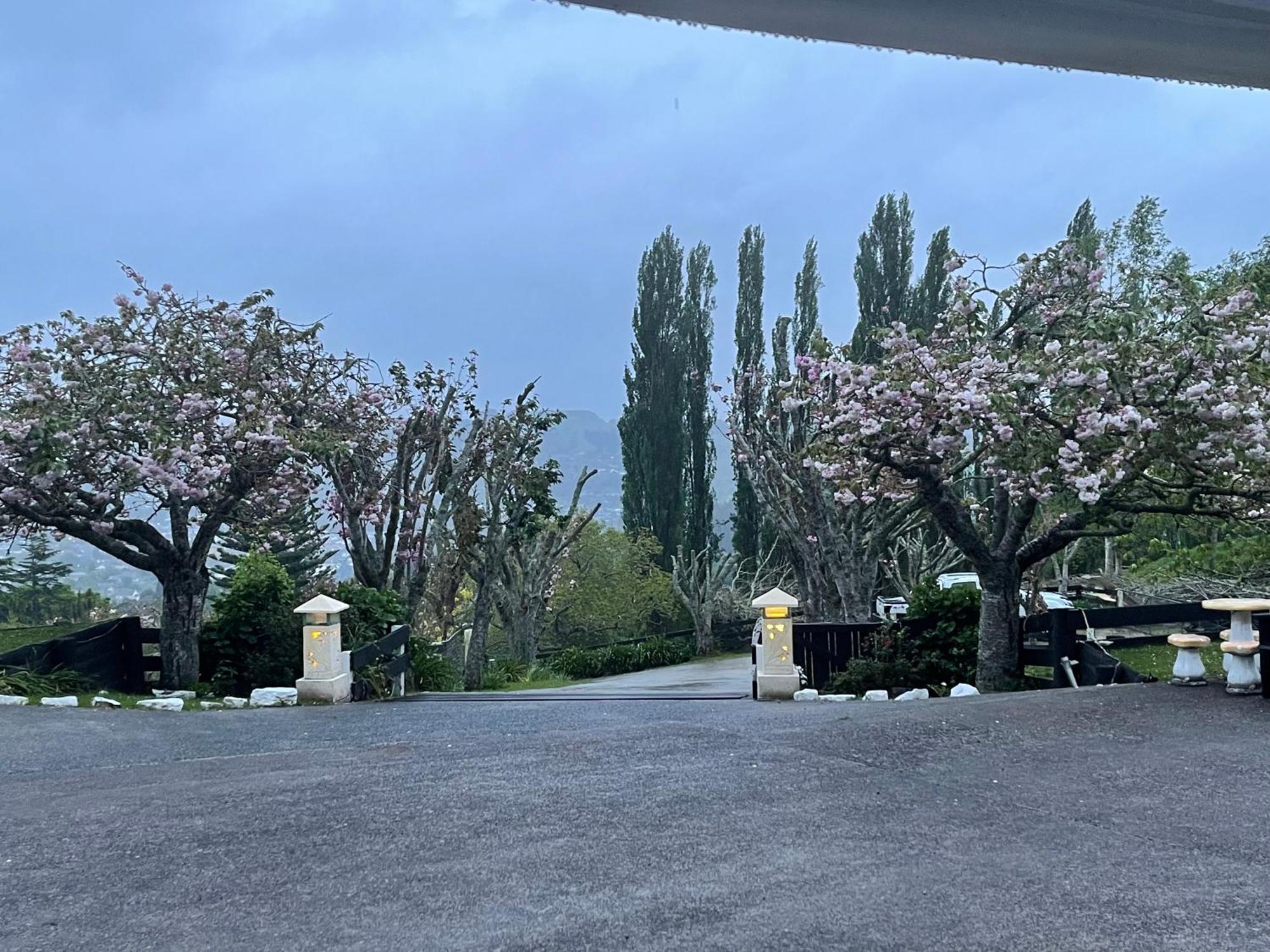 特库伊特Mels Retreat公寓 外观 照片